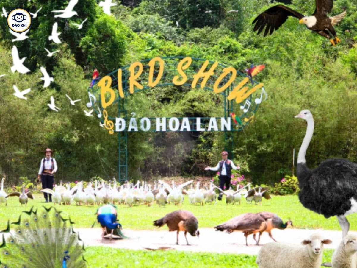 Đảo Hoa Lan Nha Trang