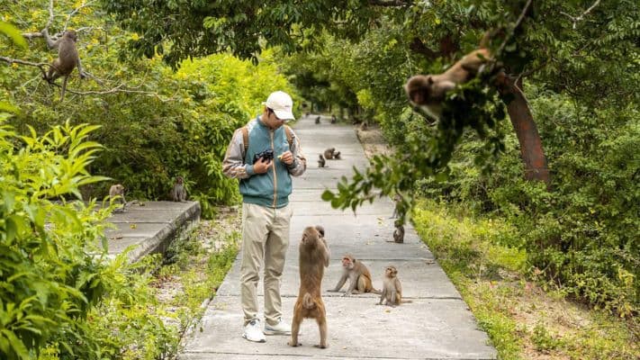 Đảo Khỉ Nha Trang Có Gì Chơi?