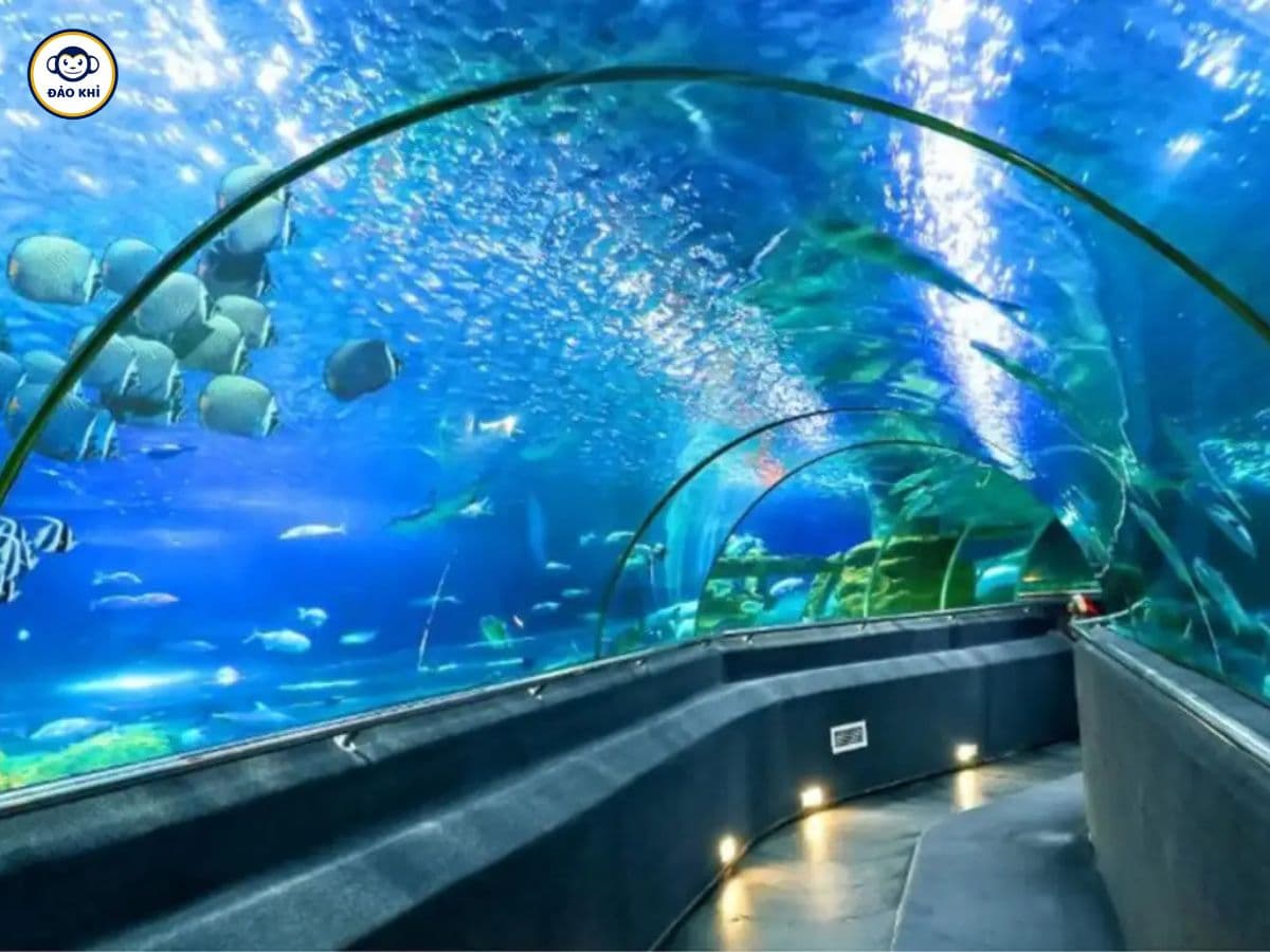 Du Lịch Nha Trang Tự Túc 