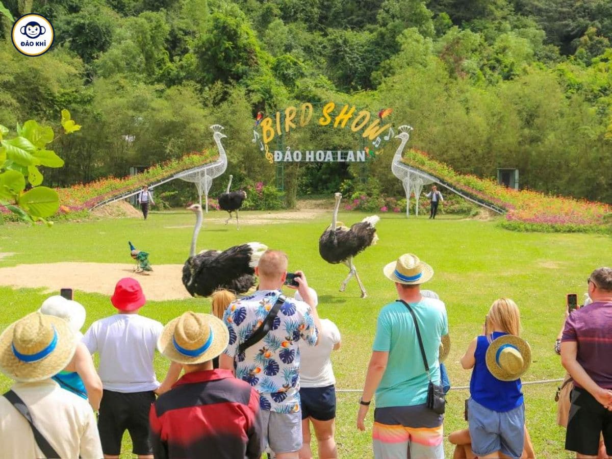 Du Lịch Nha Trang Tự Túc 