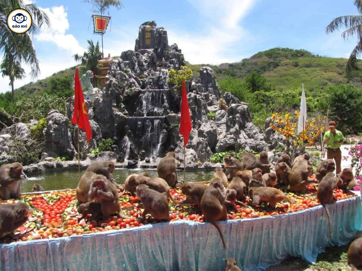 Du Lịch Nha Trang Tự Túc 