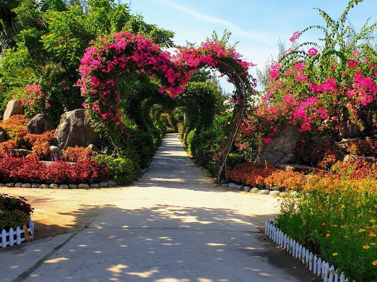 kinh nghiệm du lịch đảo khỉ nha trang