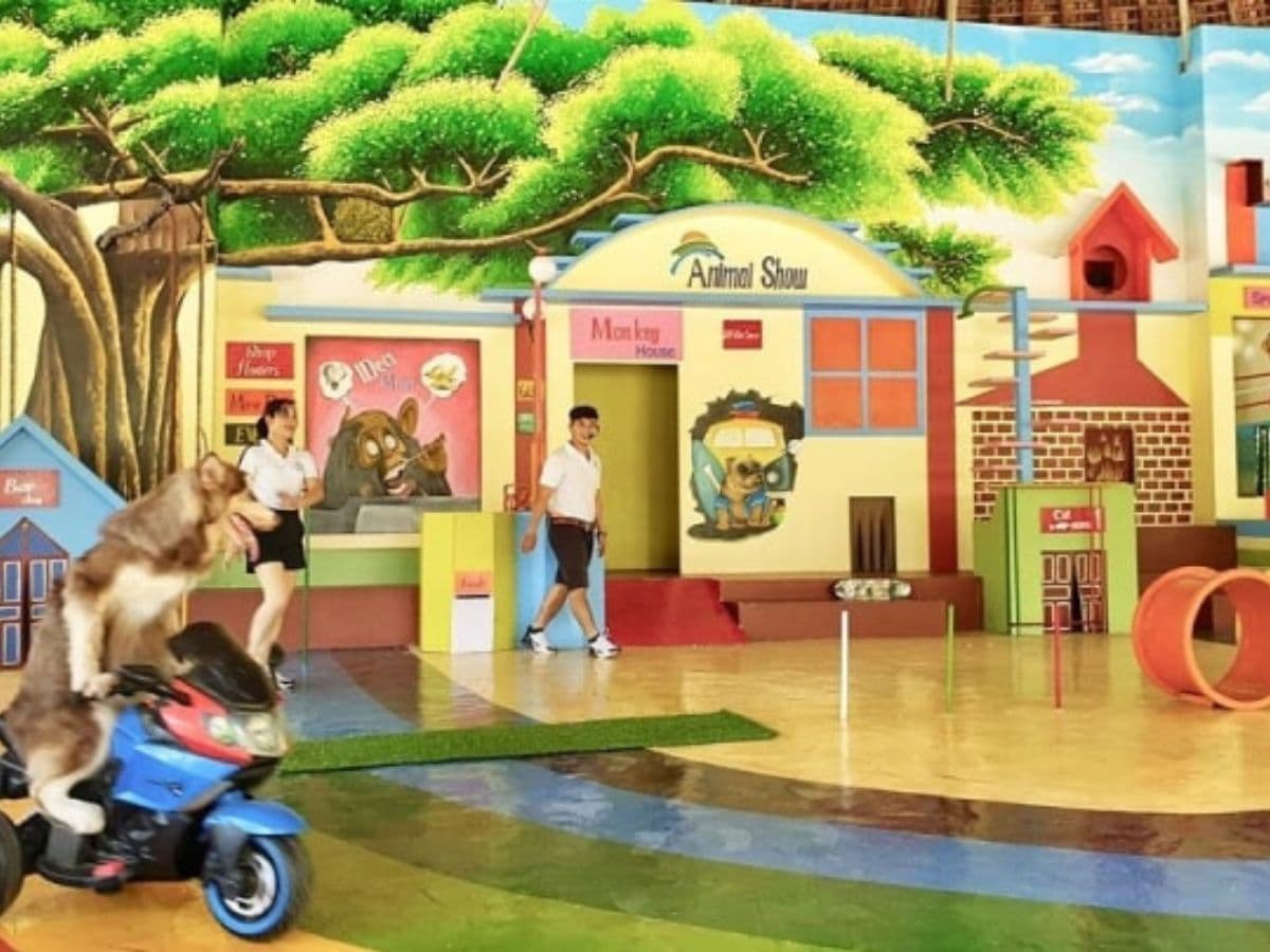 kinh nghiệm du lịch đảo khỉ nha trang