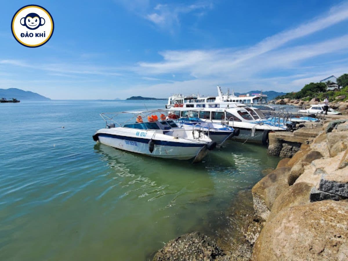thuê tàu cano đảo khỉ nha trang