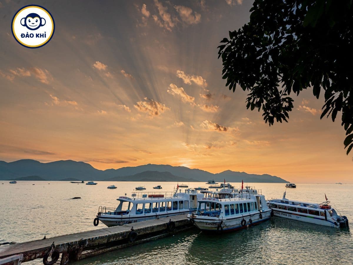 thuê tàu cano đảo khỉ nha trang