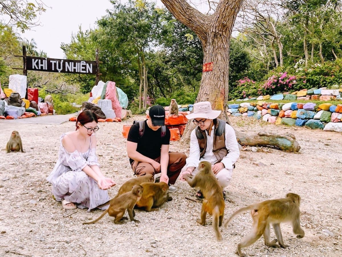 tour đảo khỉ city tour 