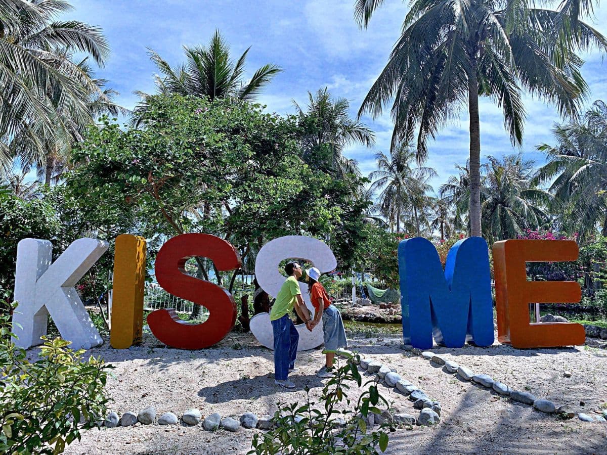 tour đảo khỉ city tour 