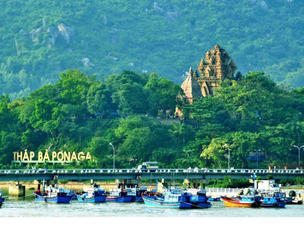 tour đảo khỉ city tour 
