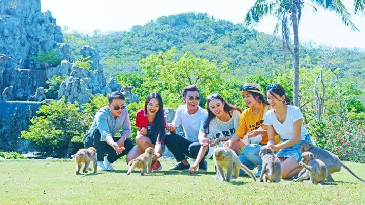 Tour Đảo Khỉ City Tour 