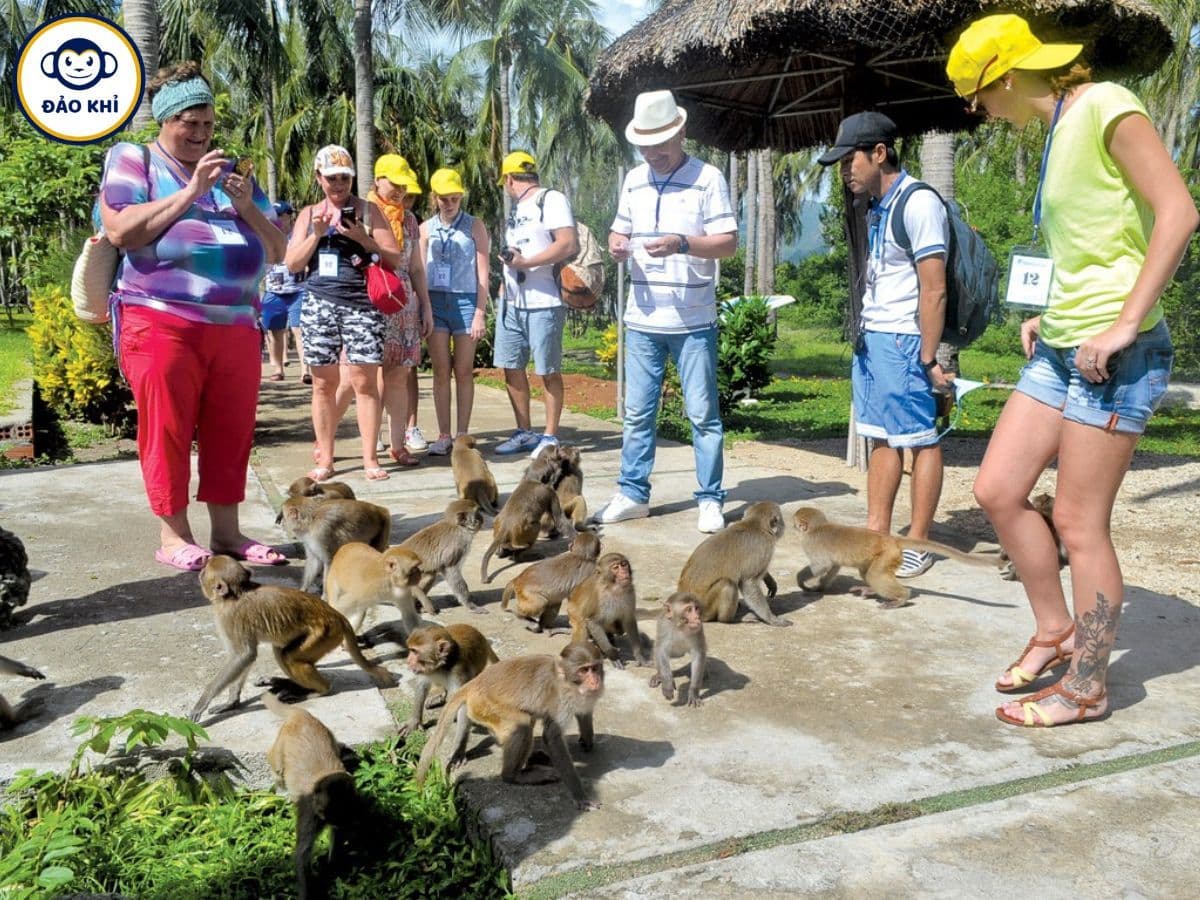 tour đảo khỉ đảo hoa lan nha trang
