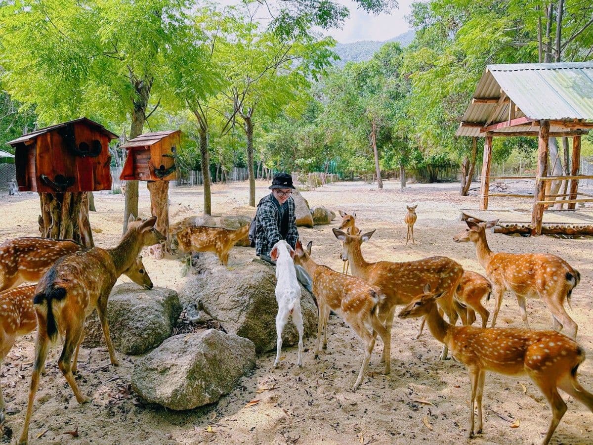 Tour Đảo Khỉ - Đảo Hoa Lan - Hình 2