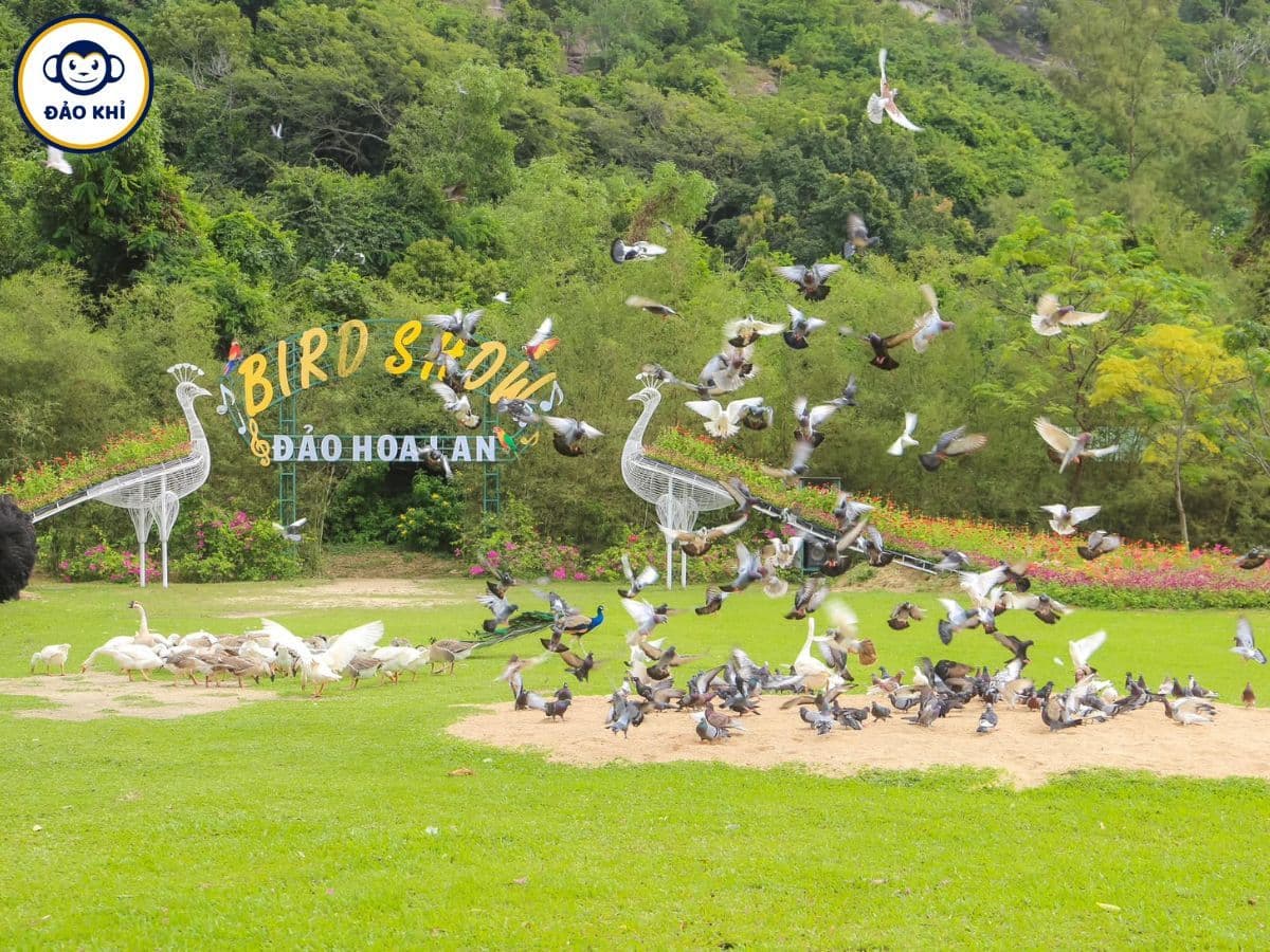 tour đảo khỉ đảo hoa lan nha trang