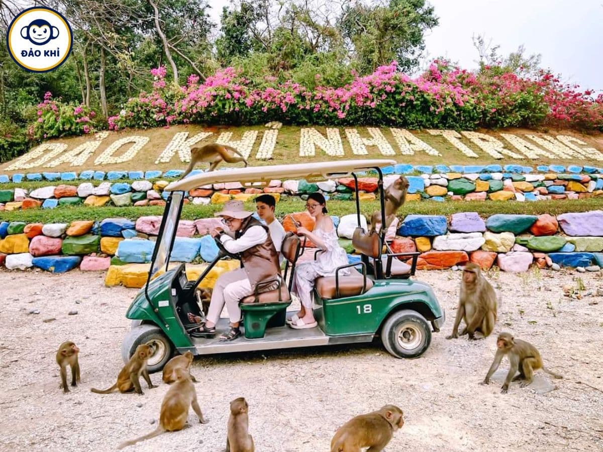 tour đảo khỉ đảo hoa lan nha trang