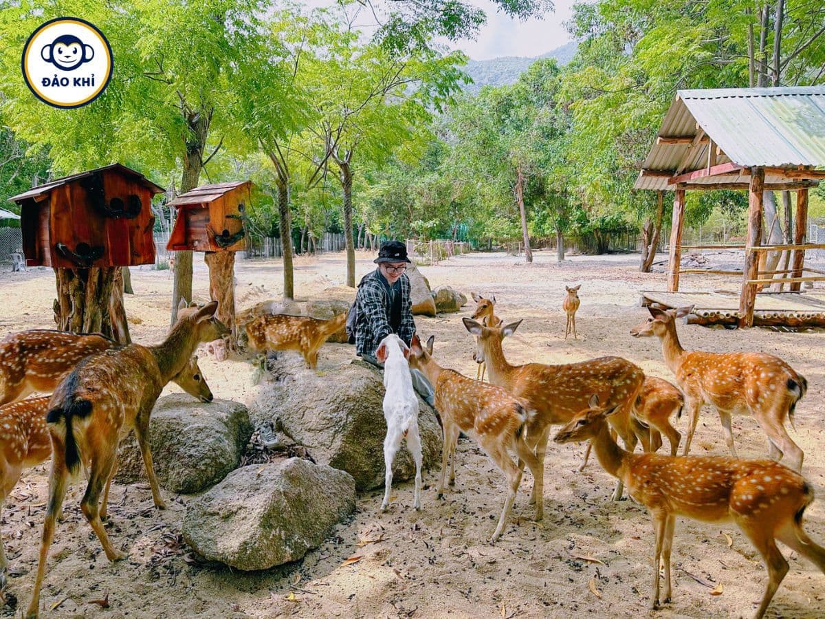 tour đảo khỉ đảo hoa lan 2 ngày 1 đêm