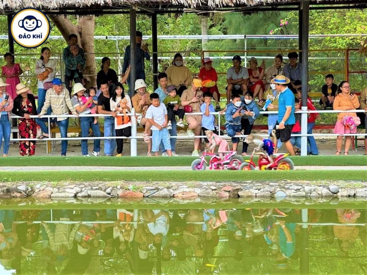 tour đảo khỉ đảo hoa lan 2 ngày 1 đêm