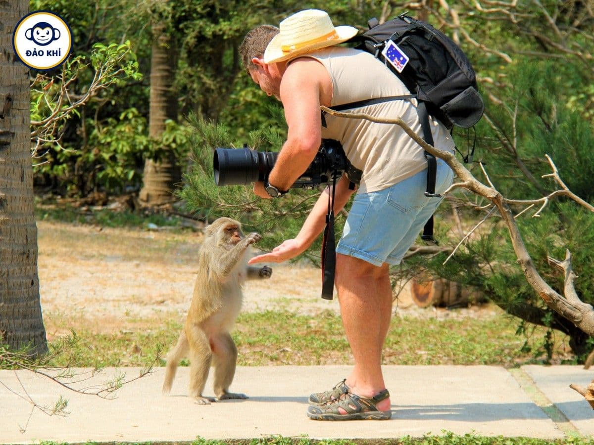 Tour Đảo Khỉ Nha Trang - Hình 1