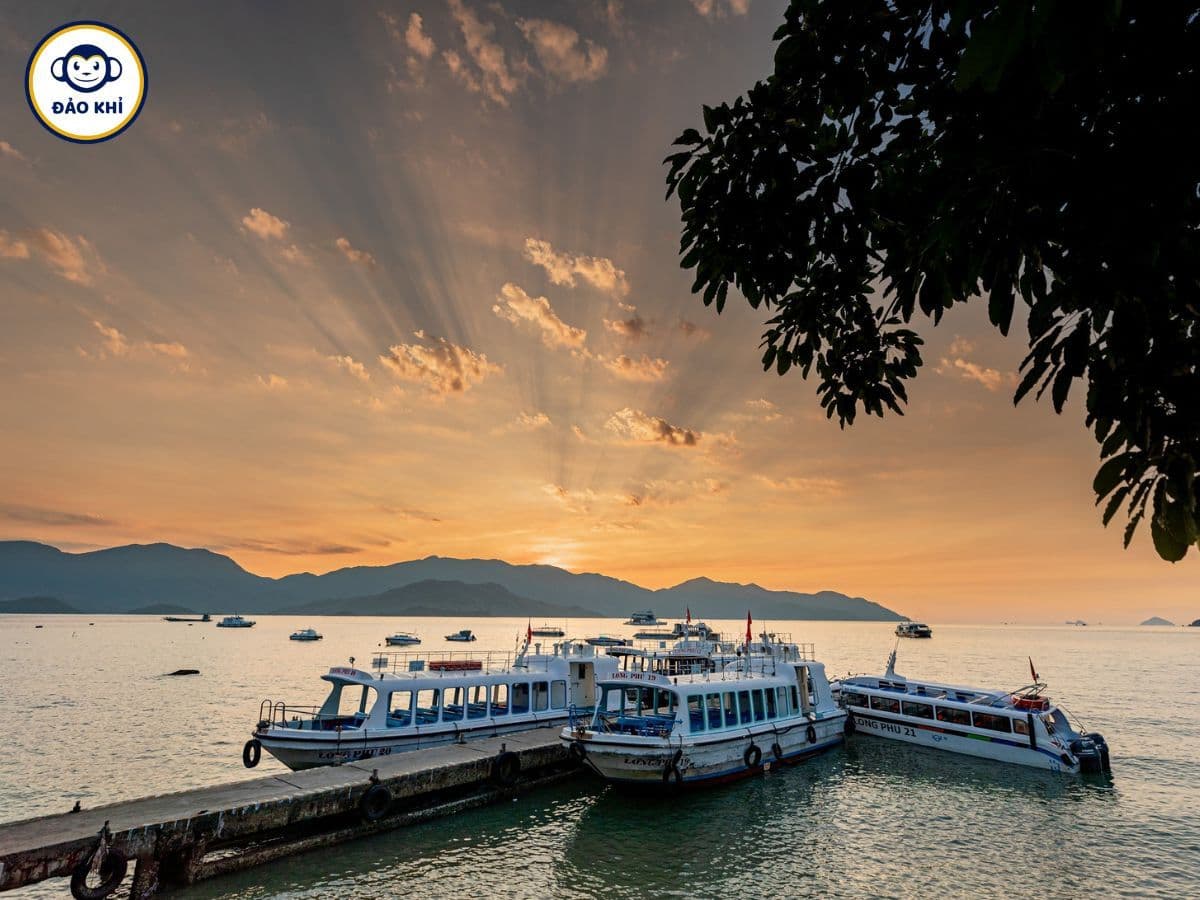 tour đảo khỉ nha trang 1 ngày
