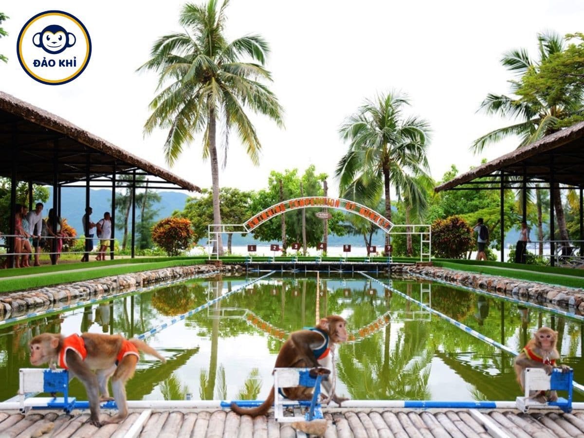 vé đảo khỉ nha trang