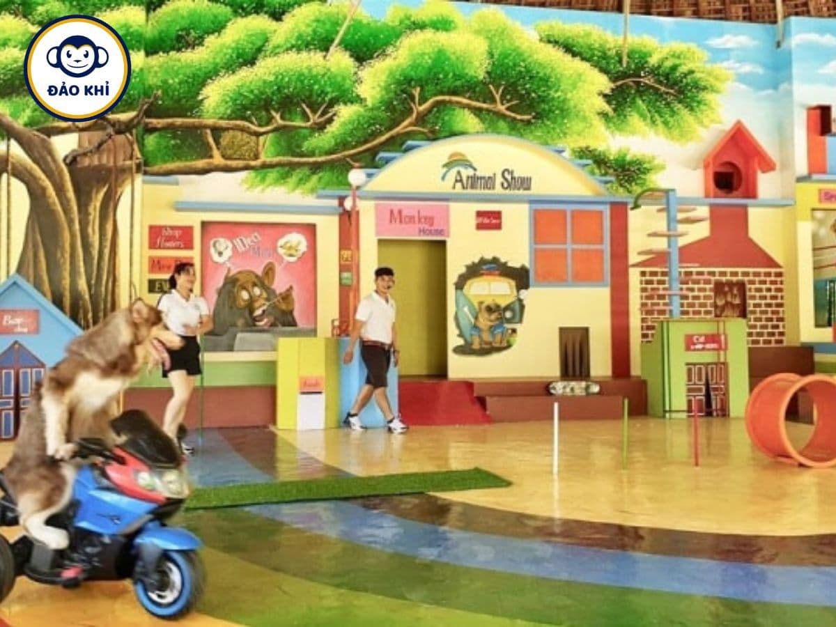 vé đảo khỉ nha trang