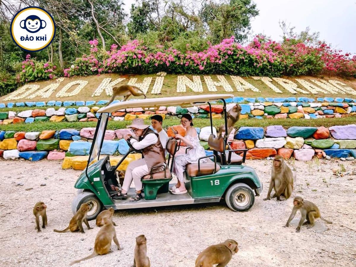 vé đảo khỉ nha trang