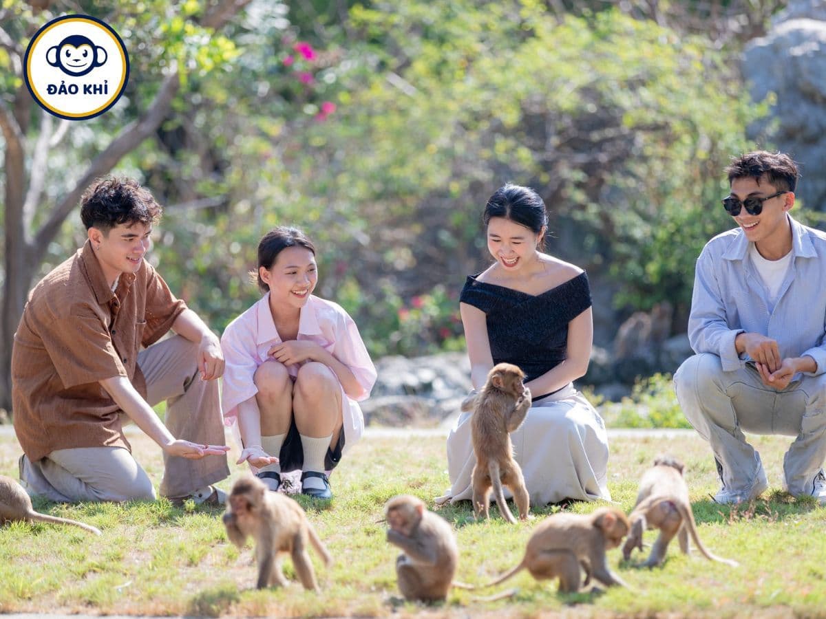 vé đảo khỉ nha trang